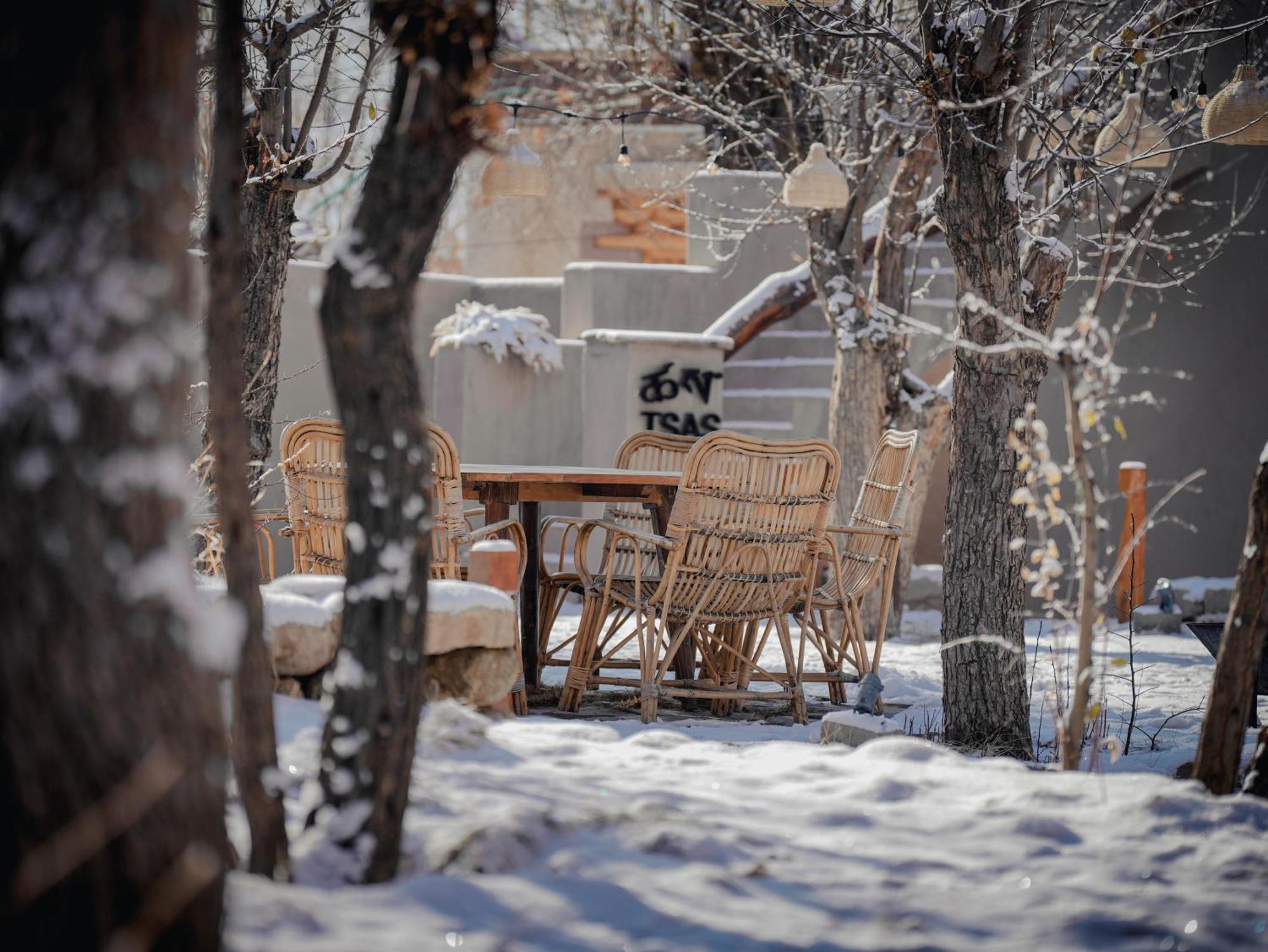 Dolkhar Resort Leh Dış mekan fotoğraf